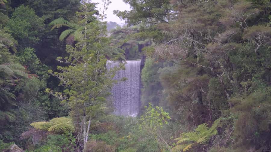 Tauranga: Kiwifruit Destination and Sights Shore Excursion - McLaren Falls Park: the lake, the waterfalls, and a walk that won’t drain you