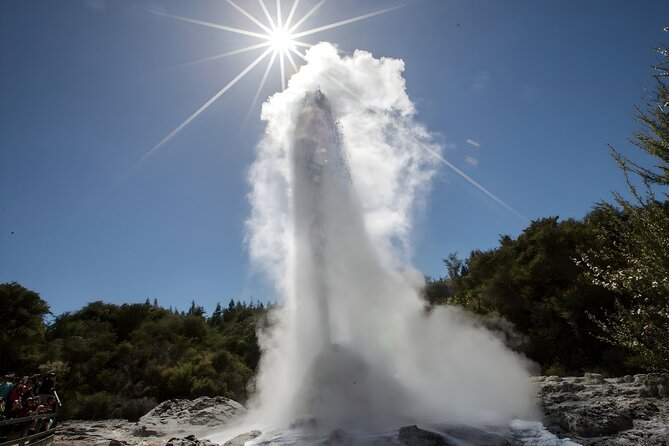 Tauranga Private Shore Excursion: Wai-O-Tapu Thermal Wonderland - Mud pools and Champagne Pool: what you’re seeing and why it’s worth slowing down