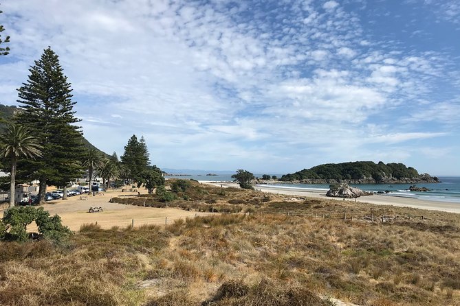 Tauranga Shore Excursion: History & Kiwifruit Tasting – 4 Hours - Small-group touring (max 11) makes the stops feel easier