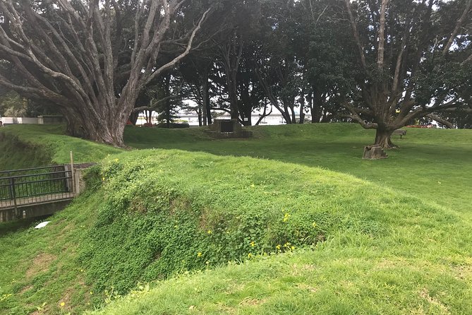 Tauranga Shore Excursion: History & Kiwifruit Tasting – 4 Hours - Stop 3: Minden Lookout for views, lunch time, shopping, and tea tasting