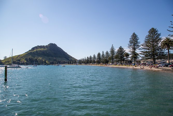 Tauranga Shore Excursion: History & Kiwifruit Tasting – 4 Hours - Stop 1: Mount Maunganui for beach-town bearings and good photo angles