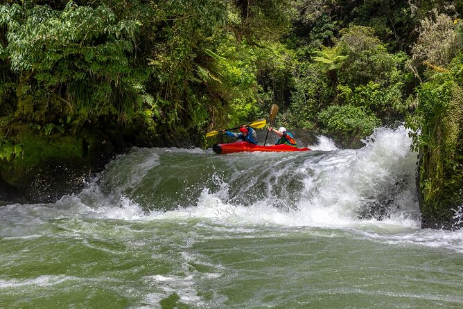Tauranga Shore Excursion: Rotorua Highlights - Key things that make this Rotorua day work