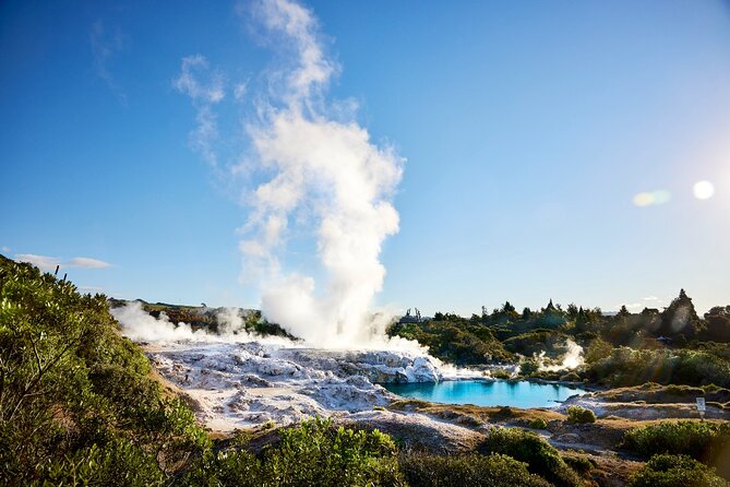 Tauranga Shore Excursion: Rotorua Highlights - Government Gardens: a fast look at central Rotorua’s calmer side