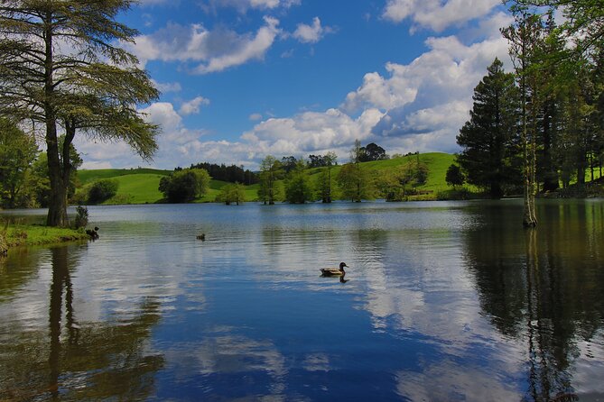 Tauranga Shore Excursion: Top Half Day Curated Highlights Tour - Quick hits: what makes this tour work