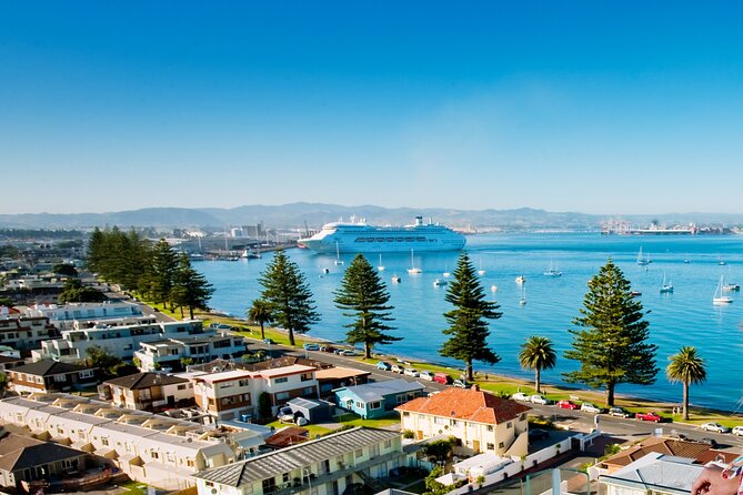 Tauranga Shore Excursion: Top Half Day Curated Highlights Tour - Mt Maunganui and the harbor bridge: start with your bearings