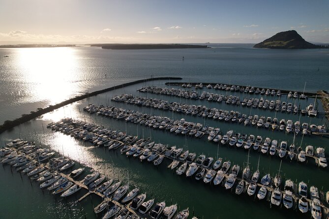 Tauranga Shore Excursion: Top Half Day Curated Highlights Tour - McLaren Falls Park: rainforest walk plus a proper cafe break