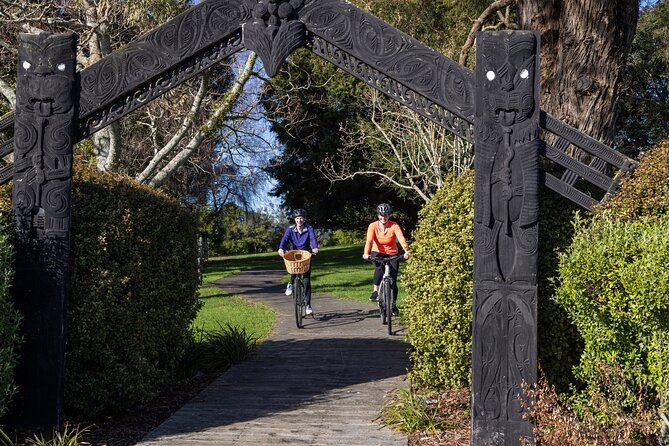 Tauranga Shore Excursion: Top Half Day Curated Highlights Tour - Guides and pacing: why this feels more personal than a big bus