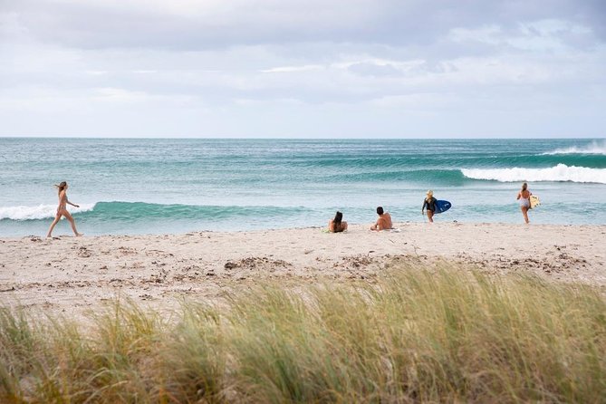 Tauranga Shore Excursion: Top Half Day Curated Highlights Tour - Gate Pa Memorial Reserve: culture you can actually pause for