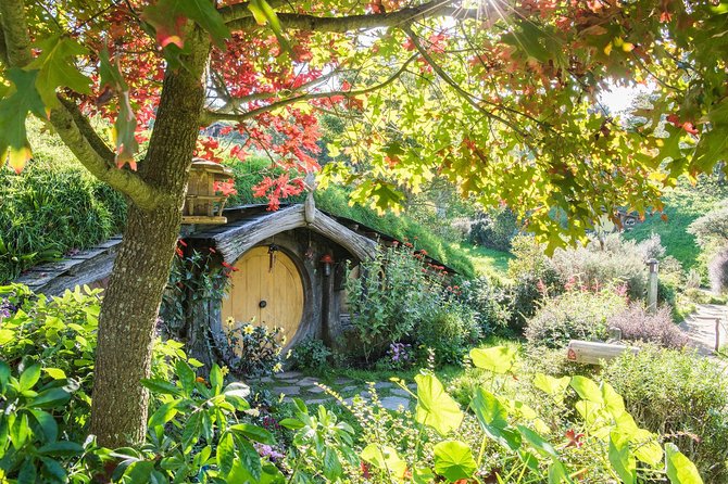 Tauranga to Magical Hobbiton Movie Set - Private Shore Excursion - Key Things I’d Bet On Before You Book