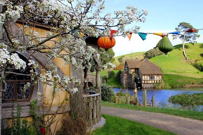 Tauranga to Magical Hobbiton Movie Set - Private Shore Excursion - Meeting point simplicity: why this matters for cruise days