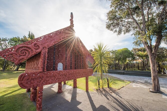 Te Puia Geothermal, Kiwi and Māori Art - Price and logistics: is $148.94 per person good value?