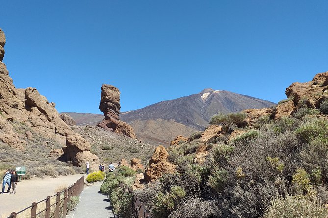 Teide essential Shore Excursion VIP TOUR - Teide Essential VIP: the value in the small-group format