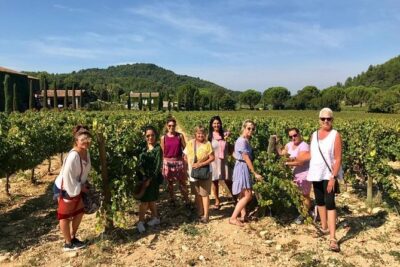 Toulon private Shore Excursion: A taste of Provence - Getting from your ship to Provence: pickup, transport, and pace