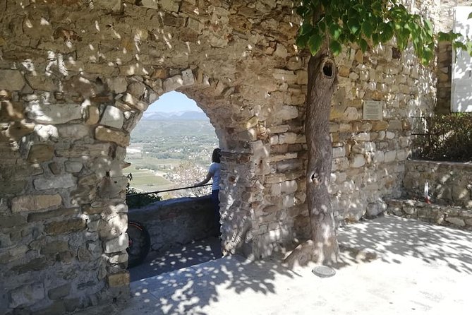 Toulon private Shore Excursion: A taste of Provence - La Cadiere d’Azur and optional Bandol wine tasting