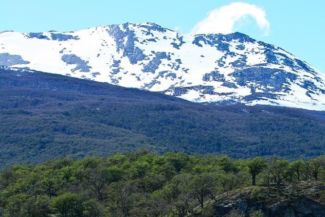 Ushuaia Shore Excursion: Private Tour of Tierra del Fuego National Park - Parque Nacional Tierra del Fuego: what the park stops really feel like