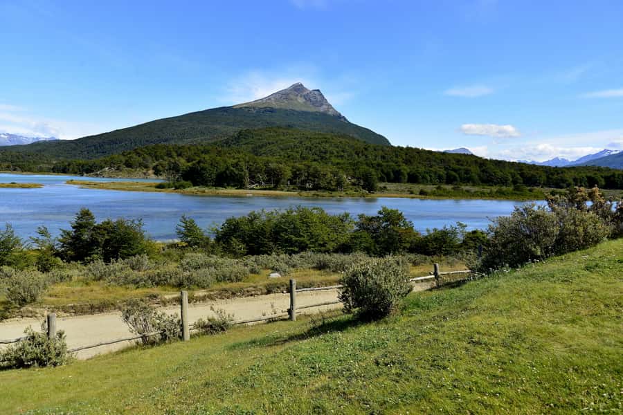 Ushuaia: Tierra del Fuego National Park Shore Excursion - Price and value: is $55 worth it?
