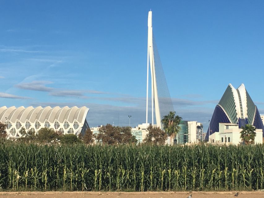 Valencia: Private 4-Hour Shore Excursion - Licensed guide flexibility: your day, not a factory schedule