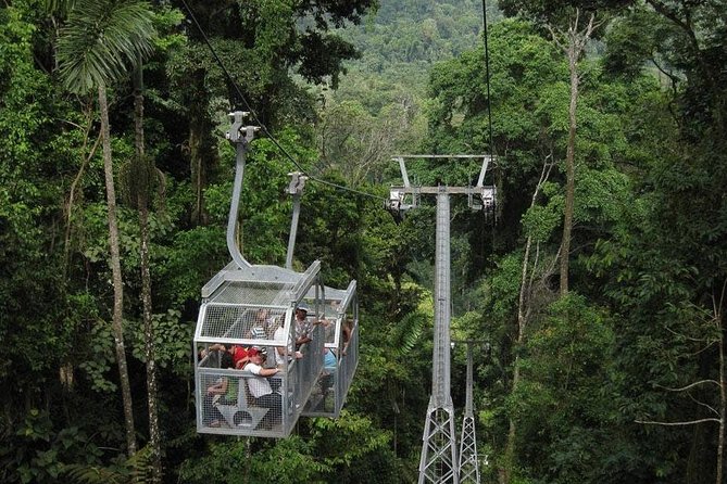 Veragua Rainforest and Tortuguero Canals Shore Excursion - Getting from Puerto Limón to Veragua in an A/C Vehicle (and why it matters)