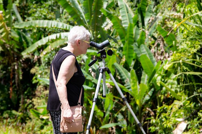 Veragua Rainforest Walk, Tram & Tortuguero Boat Tour. Limon Shore Excursion - Puerto Limón pier start: easy orientation before the jungle