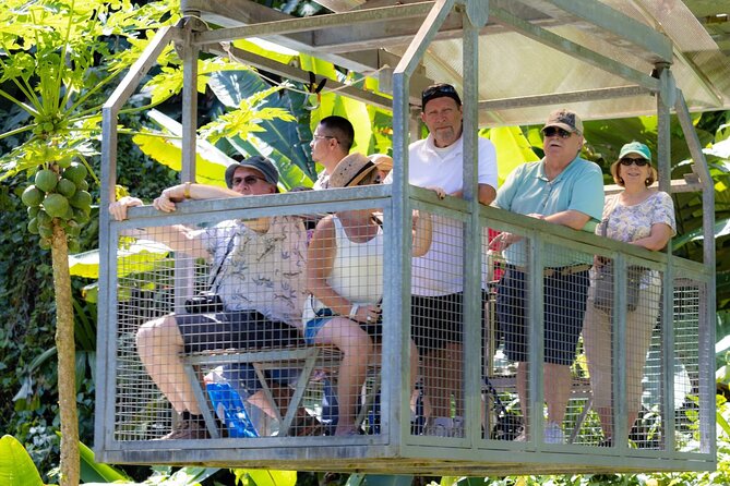 Veragua Rainforest Walk, Tram & Tortuguero Boat Tour. Limon Shore Excursion - Trail of the Giants vs Puma Waterfall: choosing your hike style