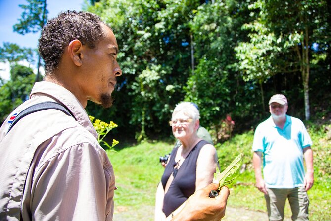 Veragua Rainforest Walk, Tram & Tortuguero Boat Tour. Limon Shore Excursion - Tortuguero Canal boat ride: wildlife spotting on waterways that run through town
