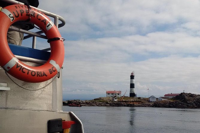Victoria Shore Excursion: Whale-Watching Cruise with Expert Naturalist Guides - The Naturalists: What Makes This Tour Feel More Than Just a Ride