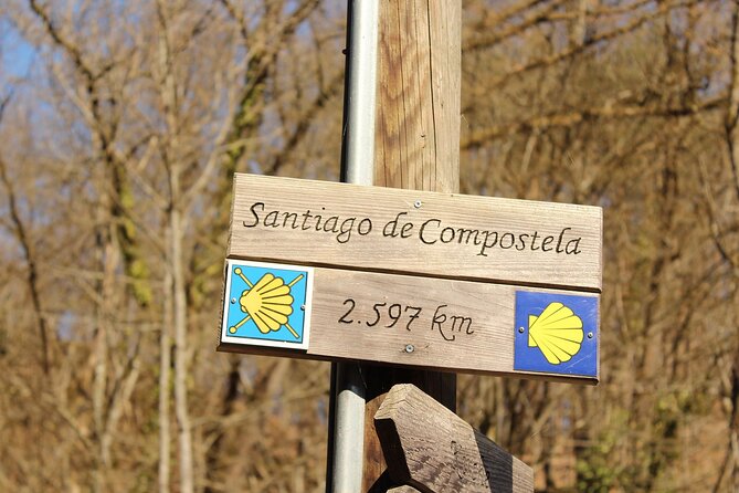 Vigo Santiago de Compostela Shore Excursion with Guide - Vigo to Santiago de Compostela: why this day trip actually works