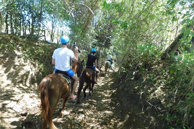 VIP DayPass: ATV, ZipLine, Horse Riding / Shore Excursion & Hotel - Horseback riding: relaxed pace, countryside trails, real instructions