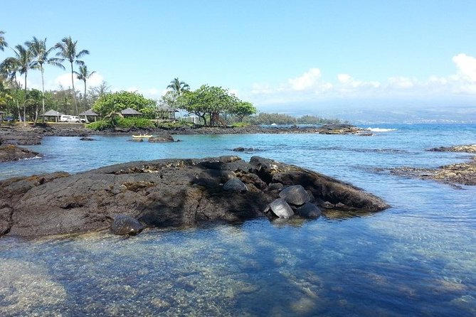 Volcano Adventure Tour & Waterfall - Shore Excursion from Hilo Harbor - Price and Value: Is $199.99 Worth It?
