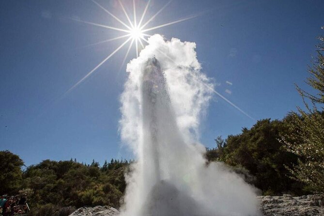 Wai-O-Tapu Geothermal Valley, & Hot River - Whakarewarewa Redwoods break: a short 15 minutes with big “forest contrast”