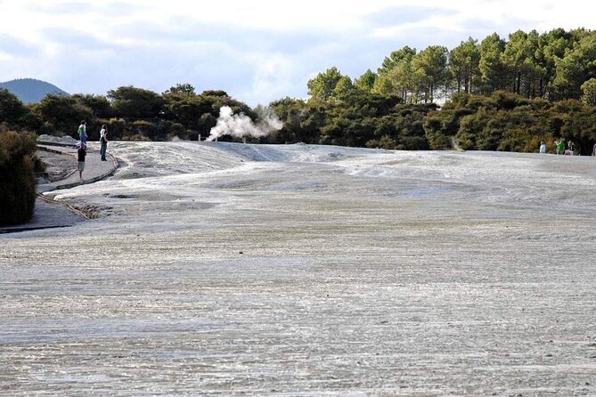 Wai-O-Tapu Geothermal Valley, & Hot River - Government Gardens: a calm landing near central Rotorua