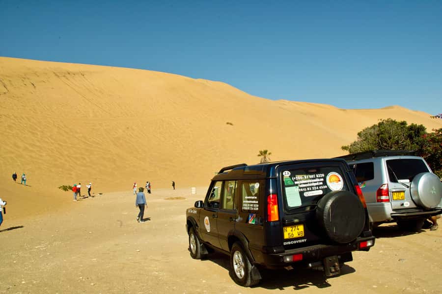 Walvis Bay Shore Excursion: Flamingos, Dune 7, Swakopmund - Who This Walvis Bay Shore Excursion Fits Best