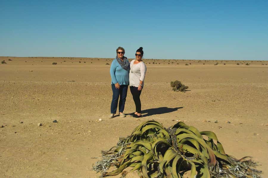 Walvis Bay Shore Excursion: Flamingos, Dune 7, Swakopmund - FAQ