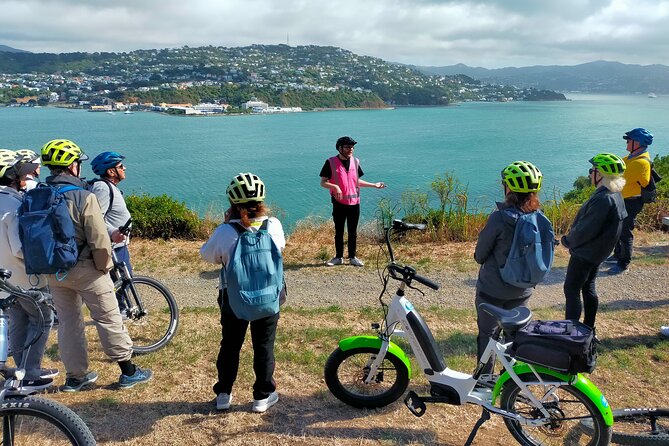 Wellington Guided eBike Tour-Cruise Shore Excursion - Key things that make this eBike tour worth it