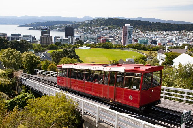 Wellington Shore Excursion City Sightseeing Tour - Key Highlights You’ll Feel Immediately