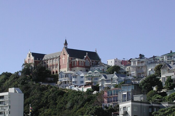 Wellington Shore Excursion City Sightseeing Tour - Driving the Coast Around Lyall Bay and Wellington Airport
