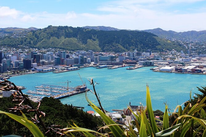Wellington Shore Excursion City Sightseeing Tour - Price and Value: What $96.19 Gets You in Real Time
