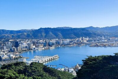 Wellington Shore Excursion: From Cave to Coast Highlights Private Tour - Wētā Cave: Movie-Magic That Fits a Cruise Schedule