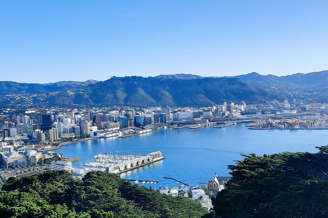 Wellington Shore Excursion: From Cave to Coast Highlights Private Tour - Wētā Cave: Movie-Magic That Fits a Cruise Schedule