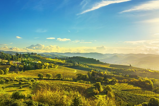 Wine Tour Bolgheri Half Day Shore Excursion from Livorno Port - Viale dei Cipressi: Cypress Avenue Photo Stops Done Right