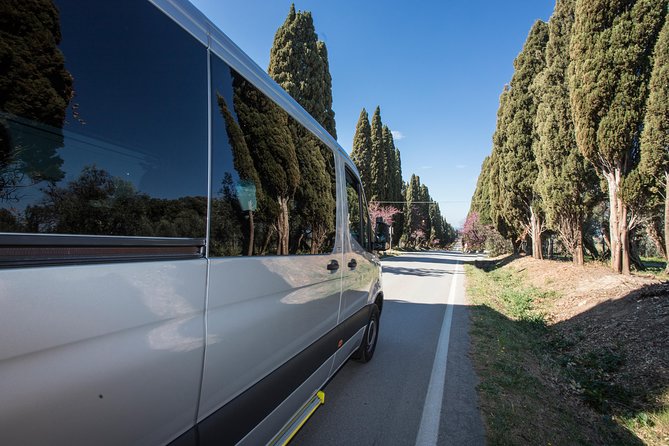 Wine Tour Bolgheri Half Day Shore Excursion from Livorno Port - Price and Value: What You’re Really Paying For