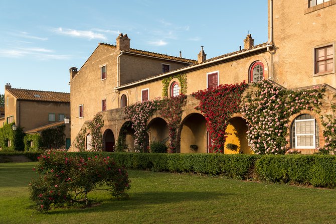 Wine Tour Bolgheri Half Day Shore Excursion from Livorno Port - Pickup and Timing: The Part That Can Make or Break Your Day
