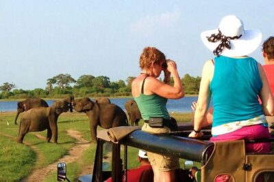 Yala Safari Tour from Hambantota Port (Shore Excursion) - What Happens Inside Yala: Your Guide’s Search Patterns