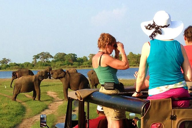 Yala Safari Tour from Hambantota Port (Shore Excursion) - What Happens Inside Yala: Your Guide’s Search Patterns