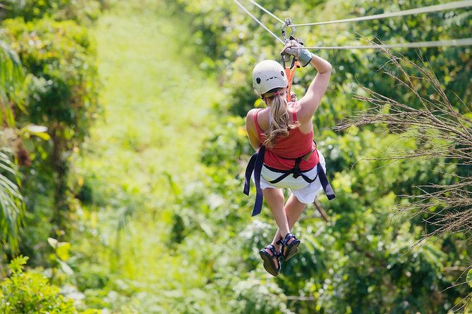 Zipline Canopy Tour & Tortuguero Canal Boat tour. Shore Excursion from Limon - Key highlights worth planning around