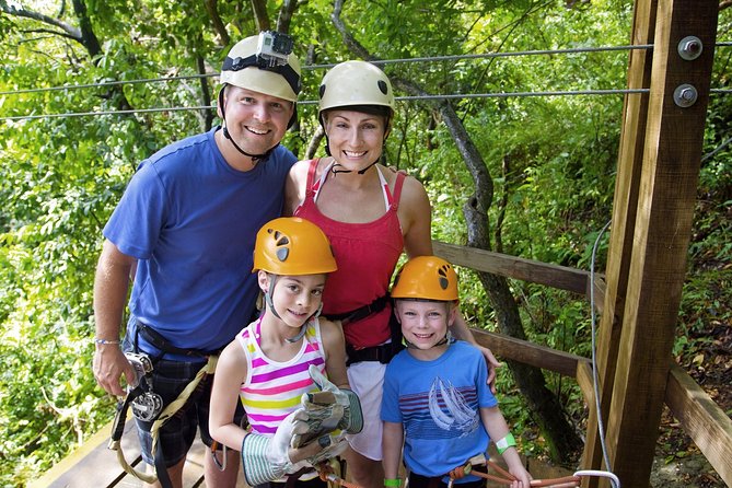 Zipline Canopy Tour & Tortuguero Canal Boat tour. Shore Excursion from Limon - Tortuguero Canal boat ride: wildlife spotting on a calm route